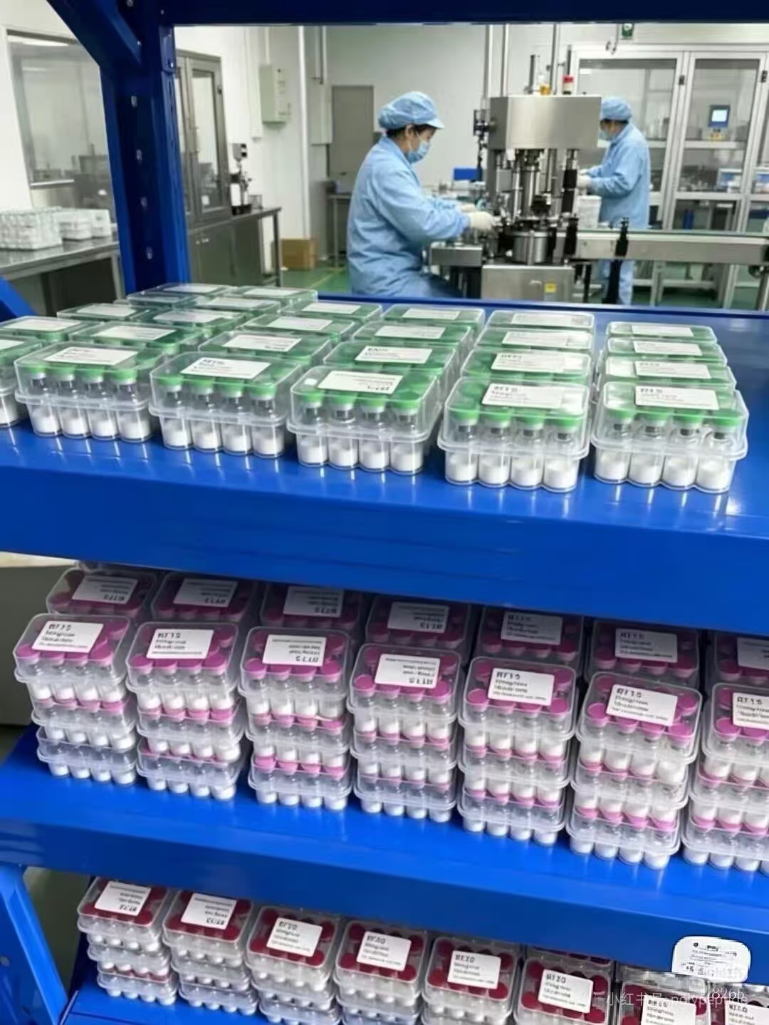 Xinke Peptide Factory Environment 3
